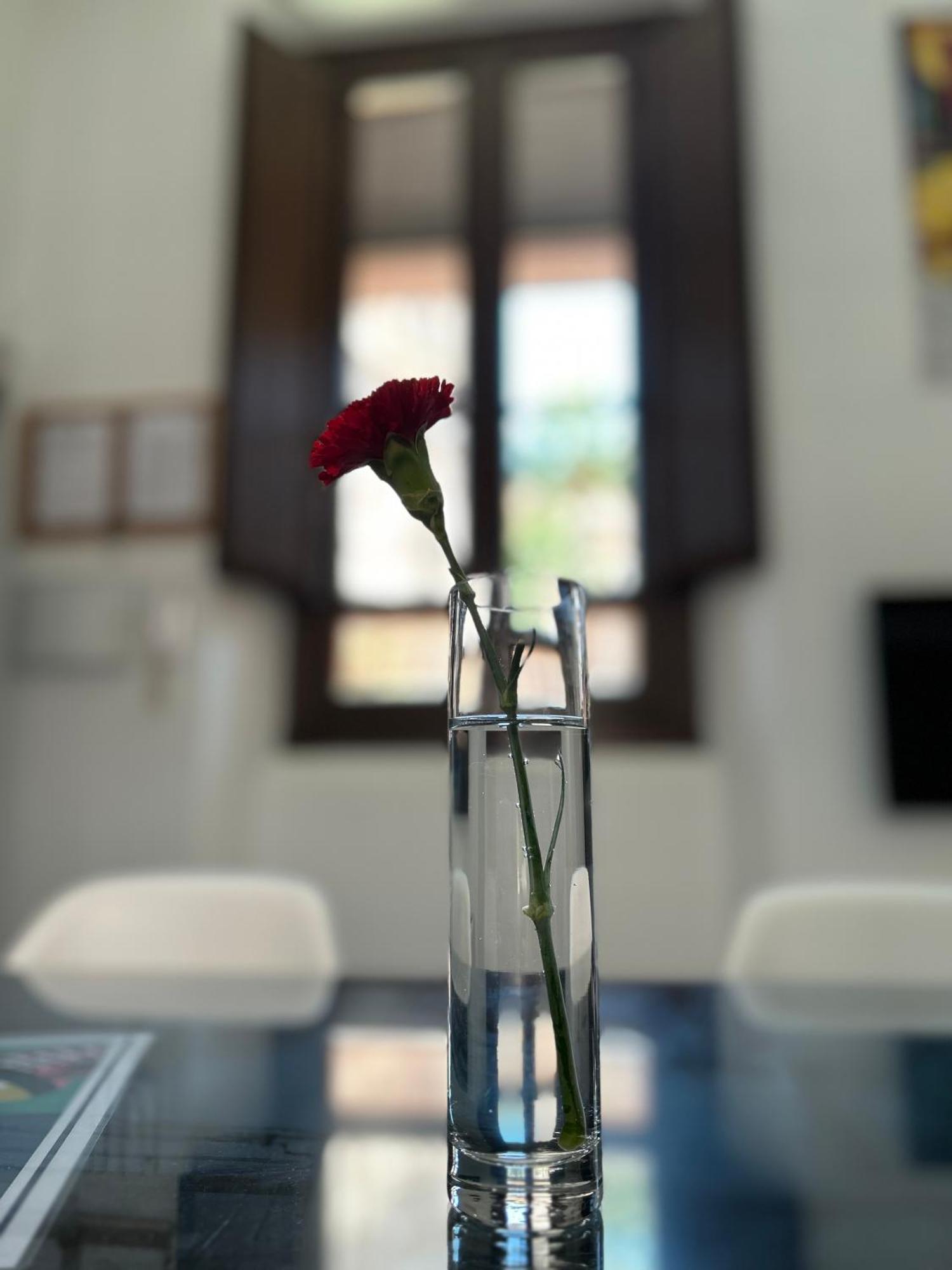 Romanilla Loft Grenada Zewnętrze zdjęcie